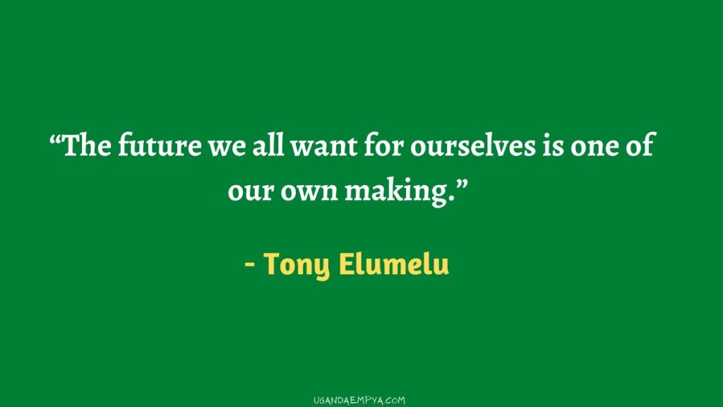 Tony Elumelu quotes