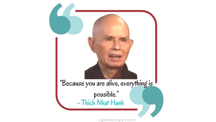 gratitude thich nhat hanh quotes