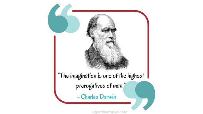 darwin quotes