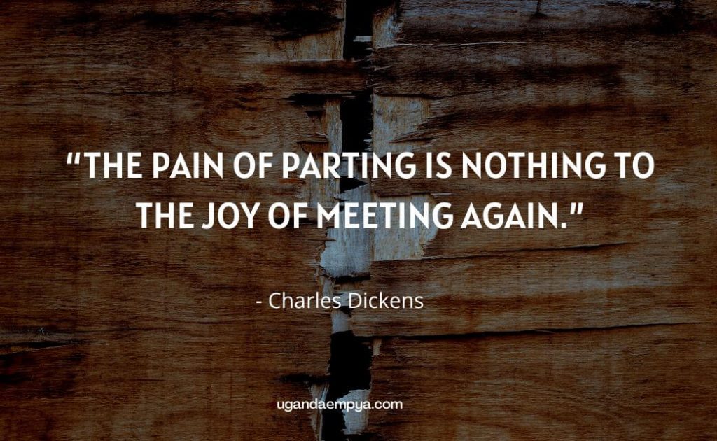 charles dickens quotes	