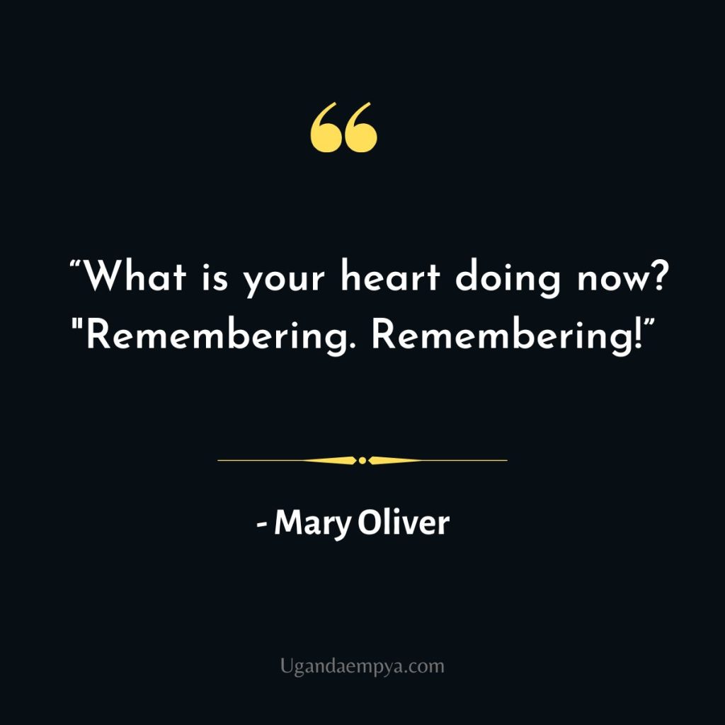 mary oliver devotions quotes
